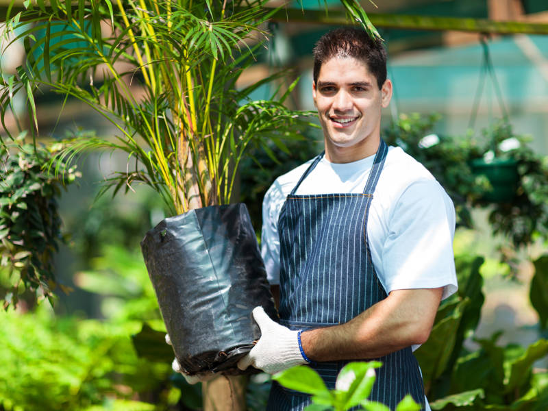 Level 1 Independence